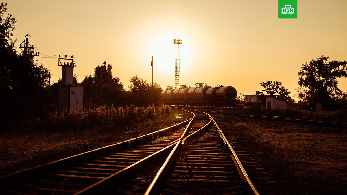    Фото: Andrew Karn / unsplash.com