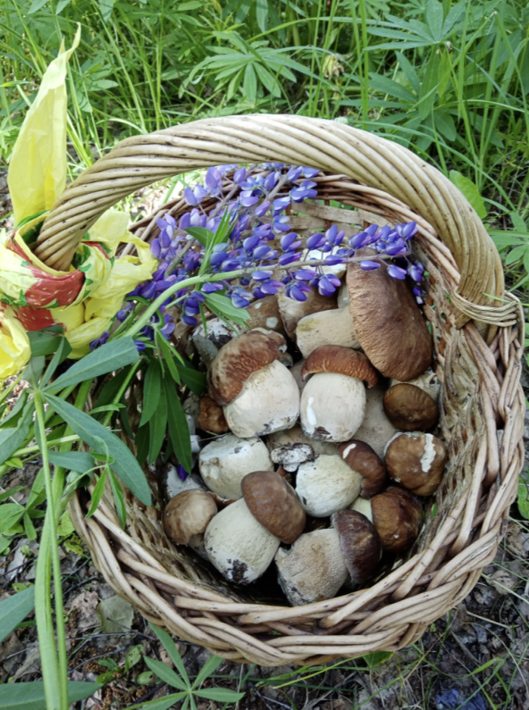 Корзинка Ольги Чикиревой. Владимирская обл. 
