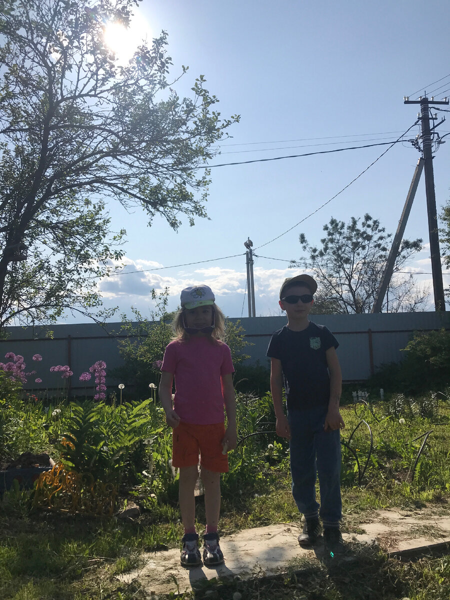 Аисты на столбе, дети долго наблюдали за ними в такой близости