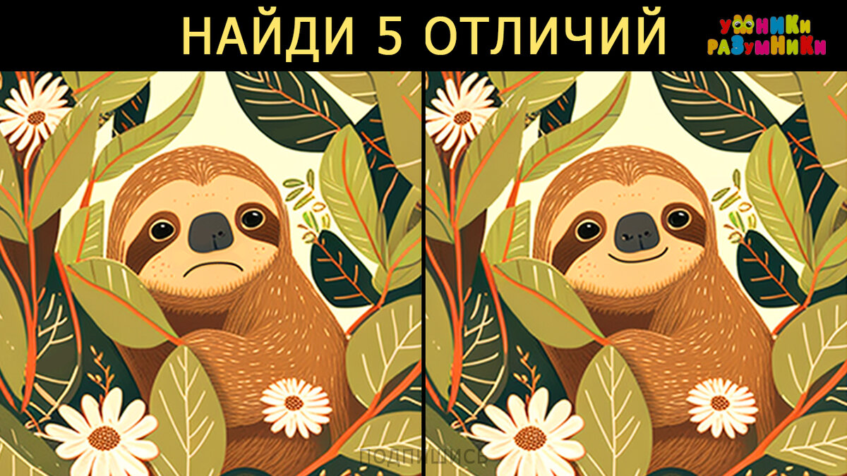 найди 5 отличий