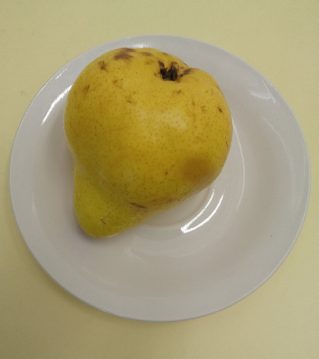 Перекус  груша-169гр. К-70,98       Б-0,68        Ж-0,51        У-18,42.