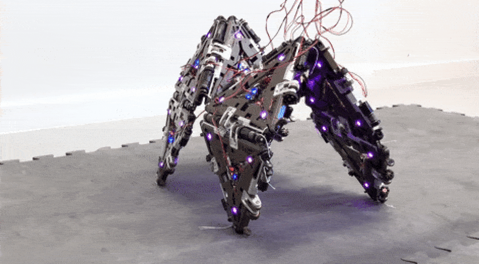   Christoph H. Belke et al. / Nature machine intelligence, 2023