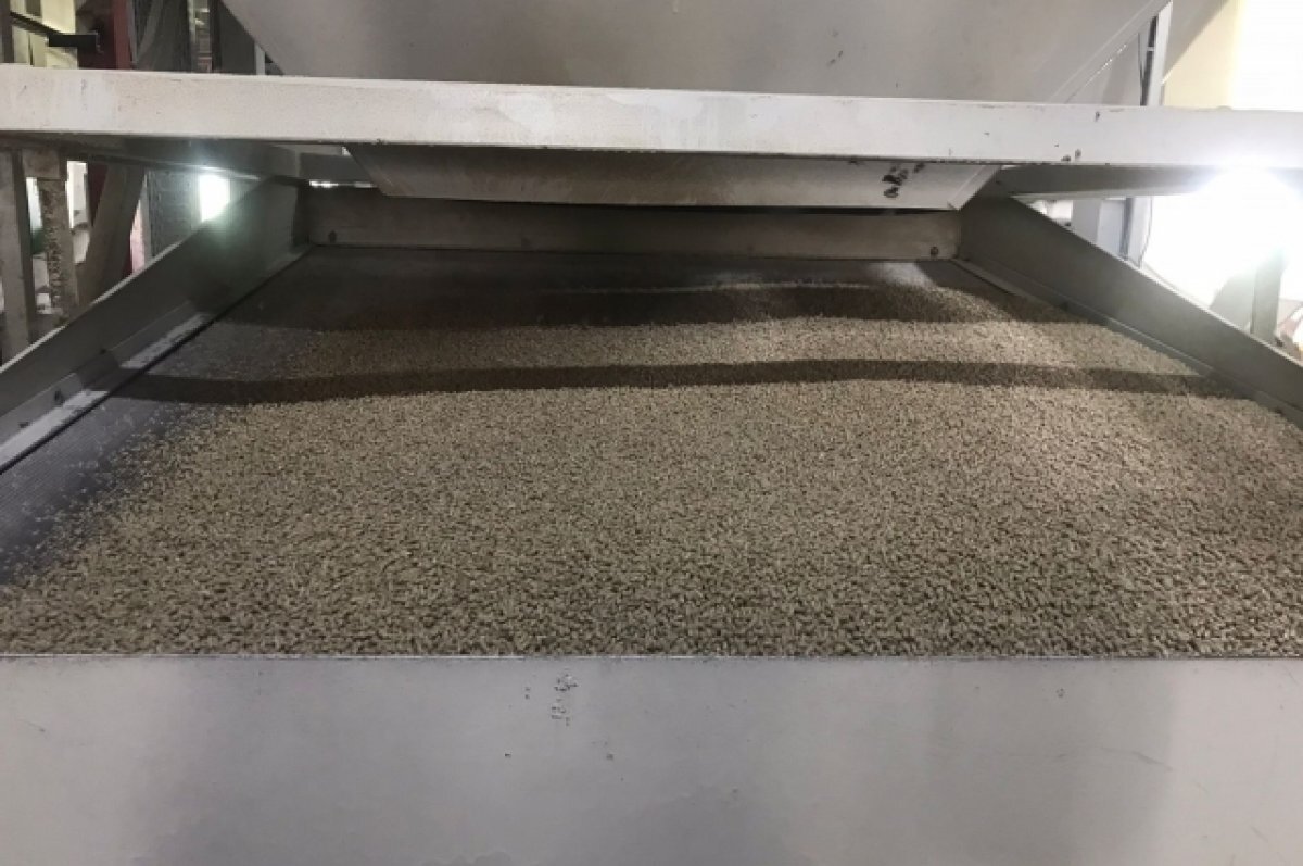    В Ленинградской области увеличат производство корма для домашних животных