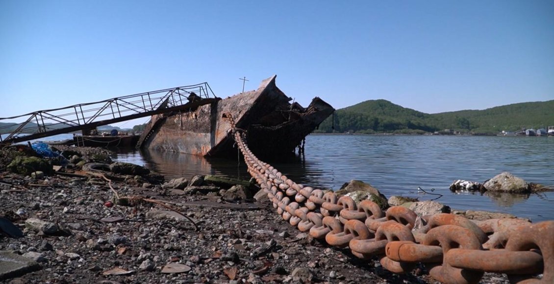    Фото: t.me/vsolodovbrief