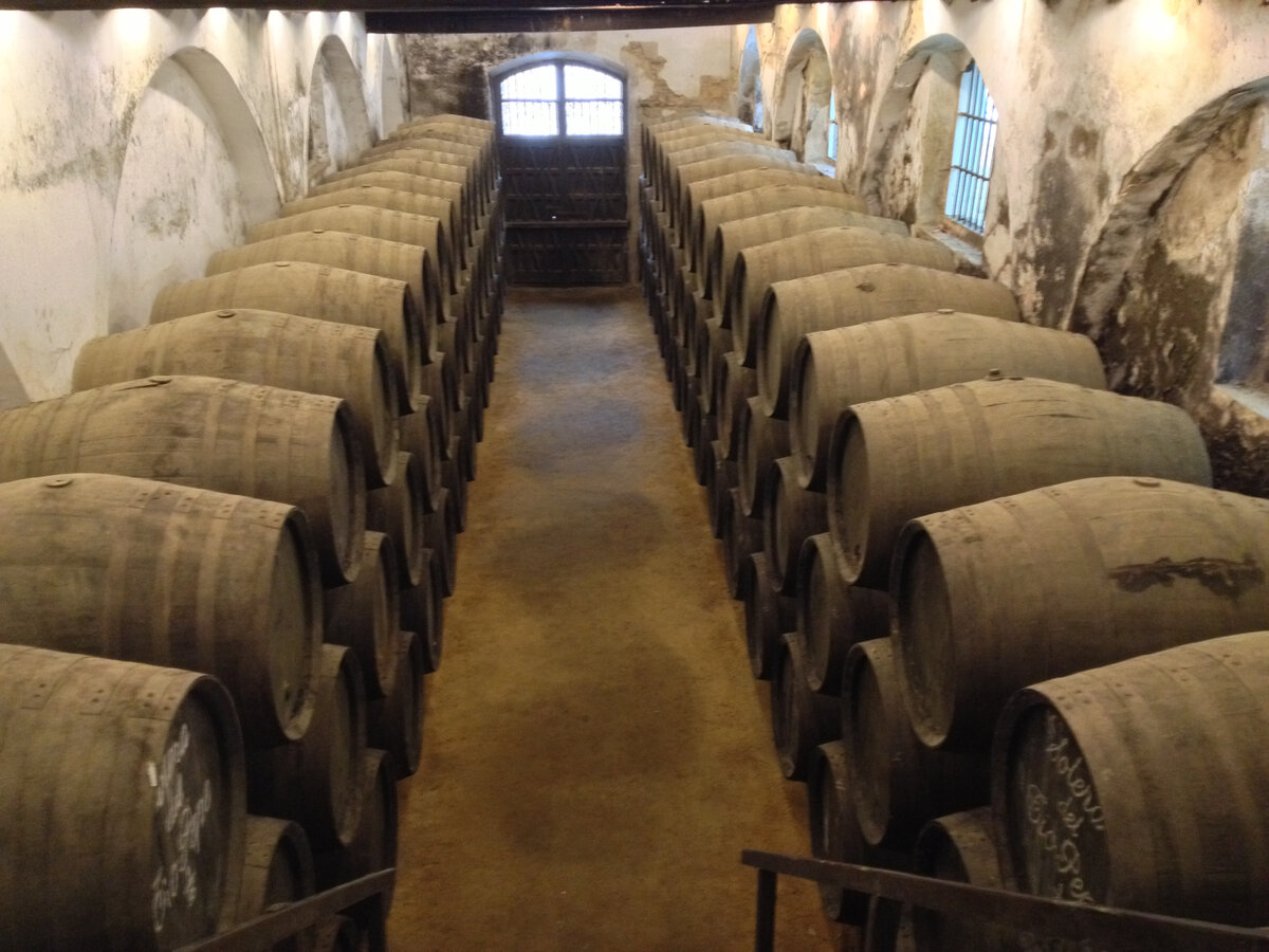 Фото сделано автором