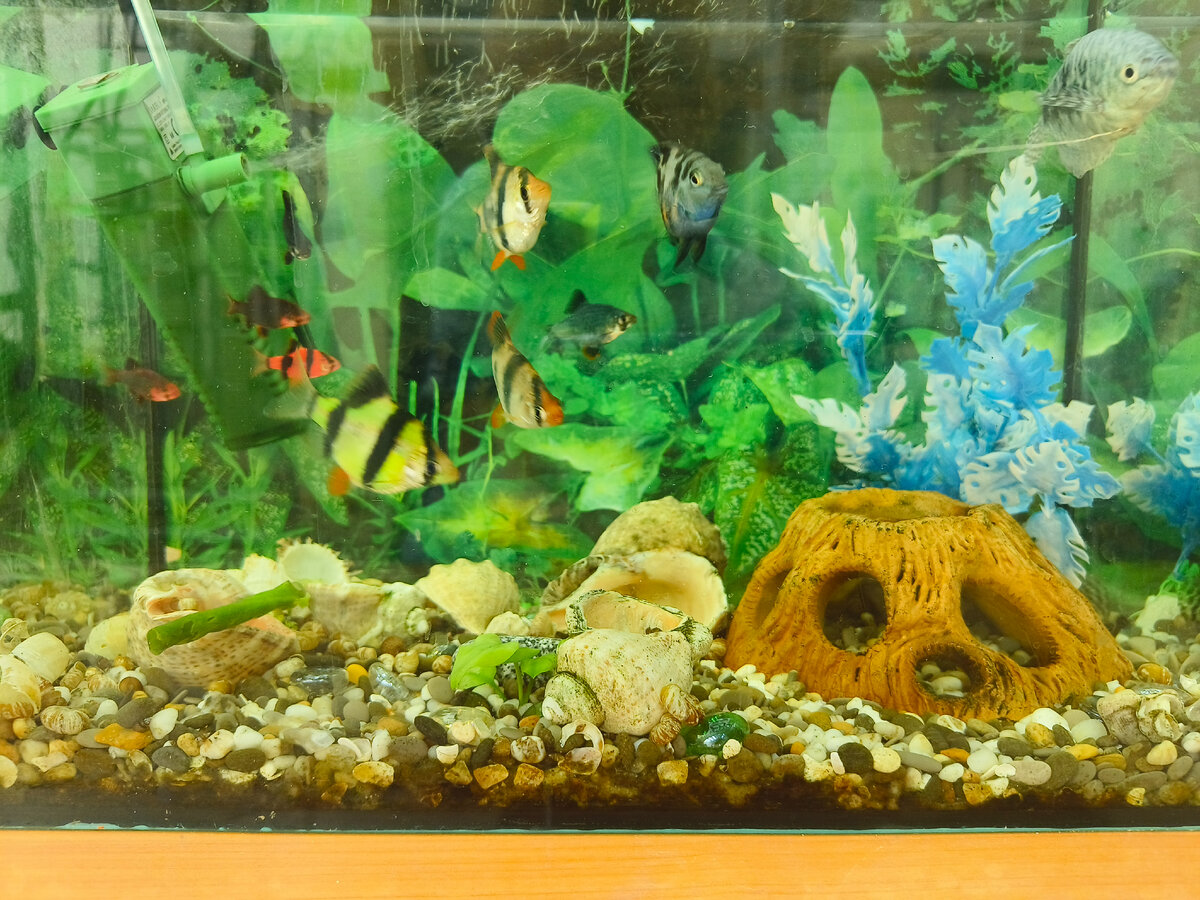 Первый кадр