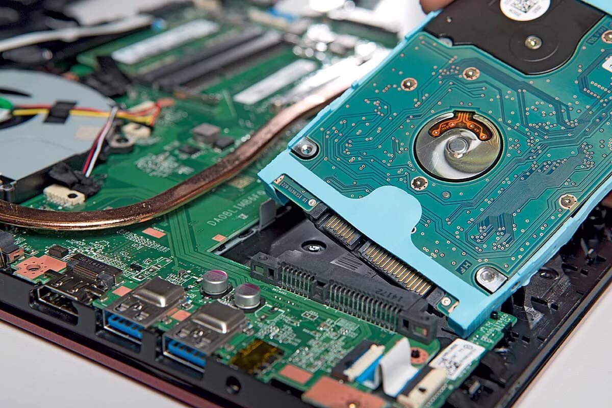 фото взято из открытых источников.