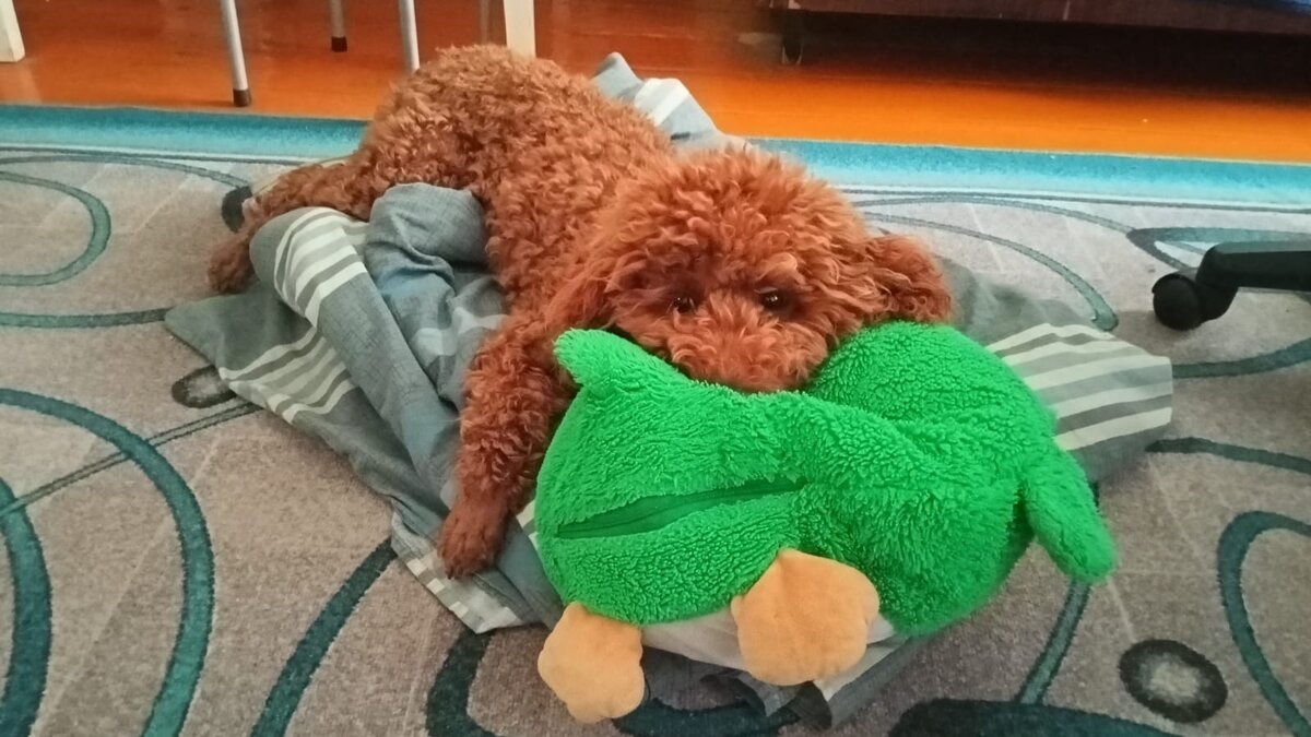 Румпель: - Как-как отдыхать? Устал, лёг, отдыхай. 