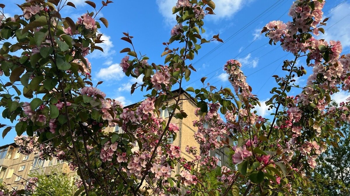     Житель Красноярска лишился семьи из-за желания завести вторую супругу.