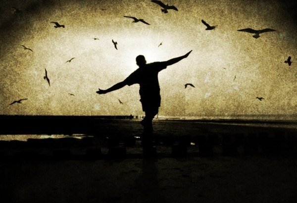 Фото из свободного источника.