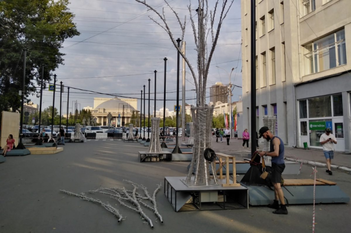    В Новосибирске на улице Ленина установили светящиеся деревья ко Дню города