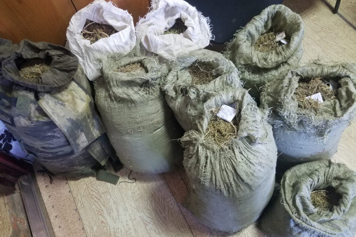    Житель Арсеньева предстанет перед судом за хранение марихуаны