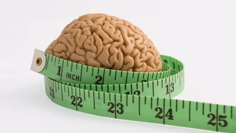 Мозгов рост вес