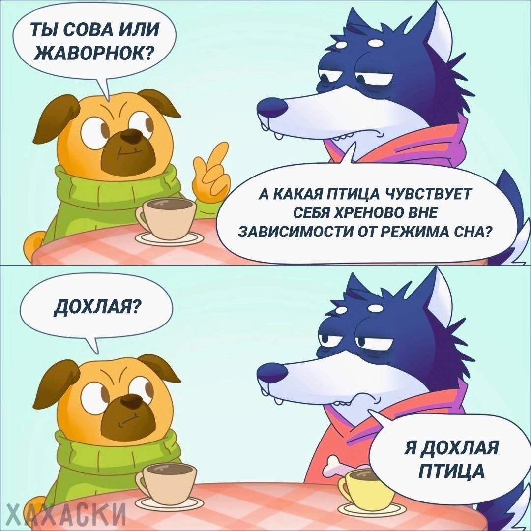 мем от Хахаски