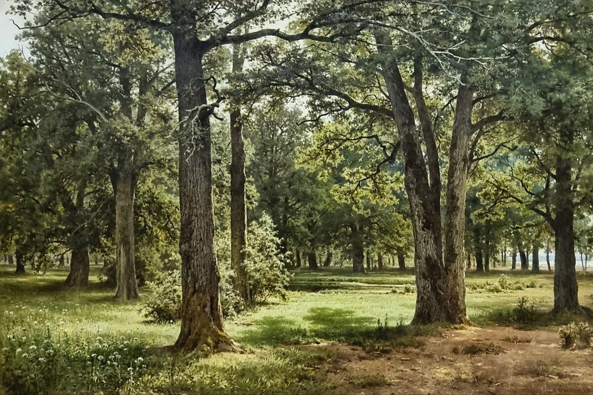 Шишкин И.И. 1832-1898 В заповедной дубовой роще Петра Великого (в Сестрорецке), 1886, х.м.