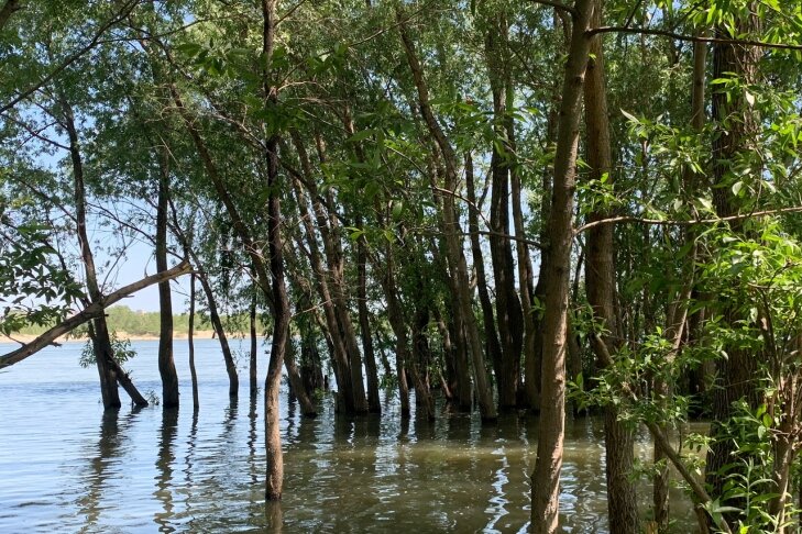 © Фото VN.ru.📷
