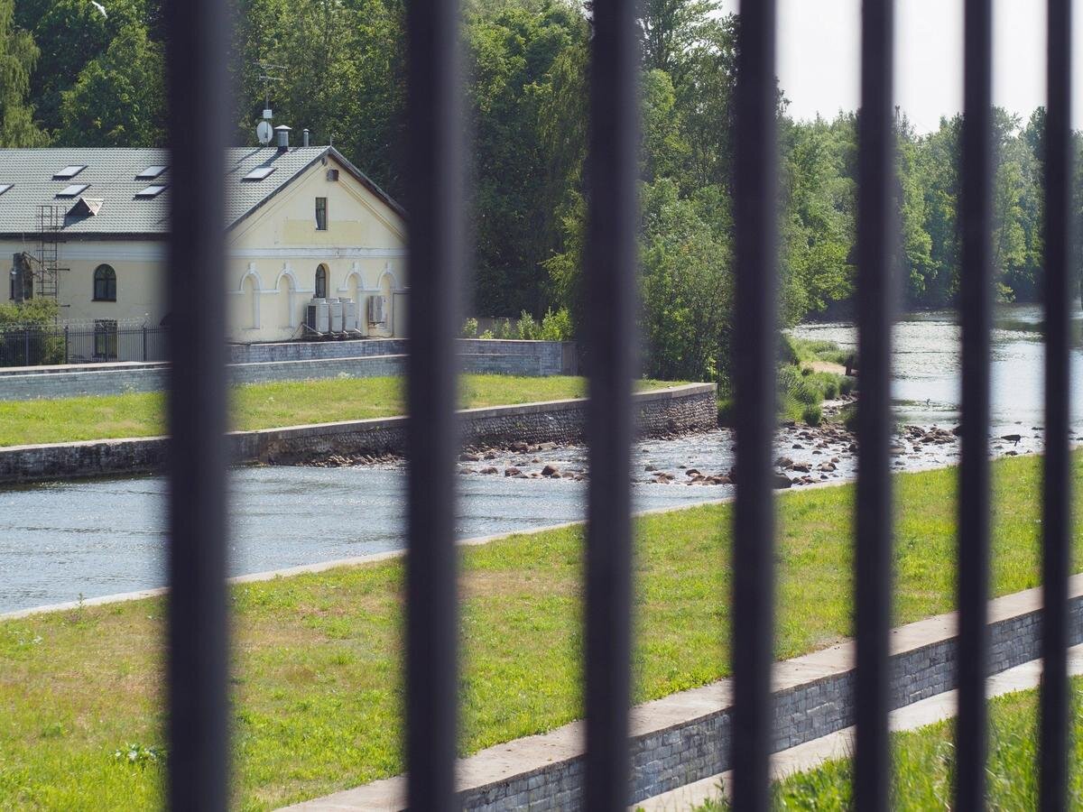 Возле Охтинской дамбы. Фото: Дмитрий Абрамов / MR7