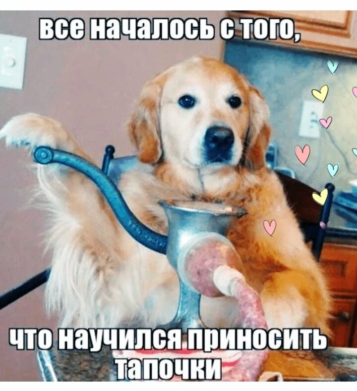 Скриншот в обработке автора