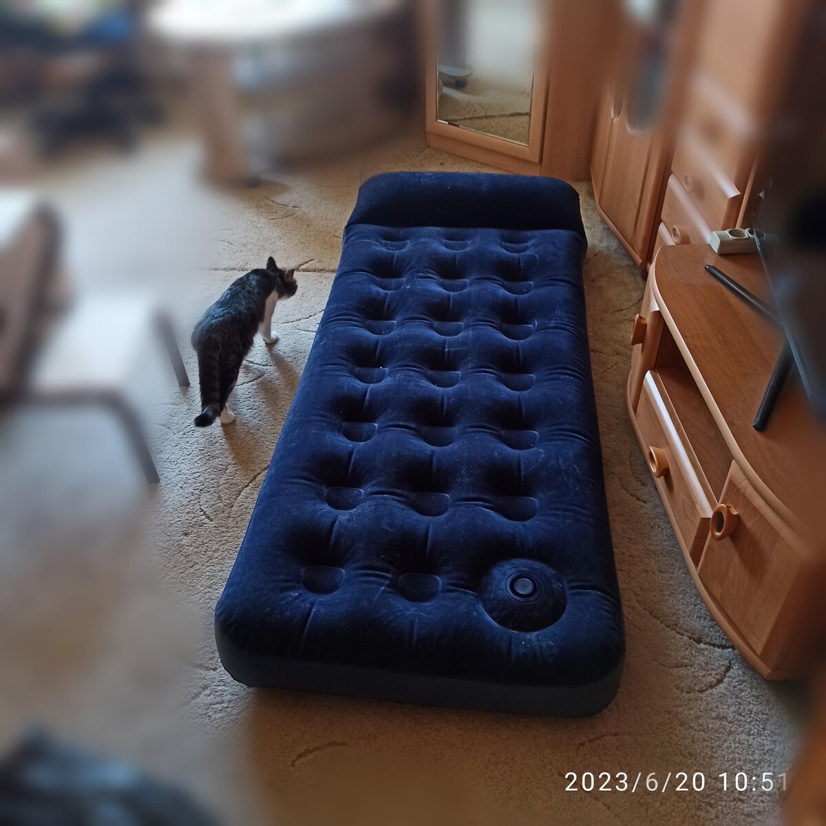 Ещё месяц назад я была в полной уверенности, что дома никаких матрасов не живёт, только в гараже два комплектом к палатке. А оно вон оно чё