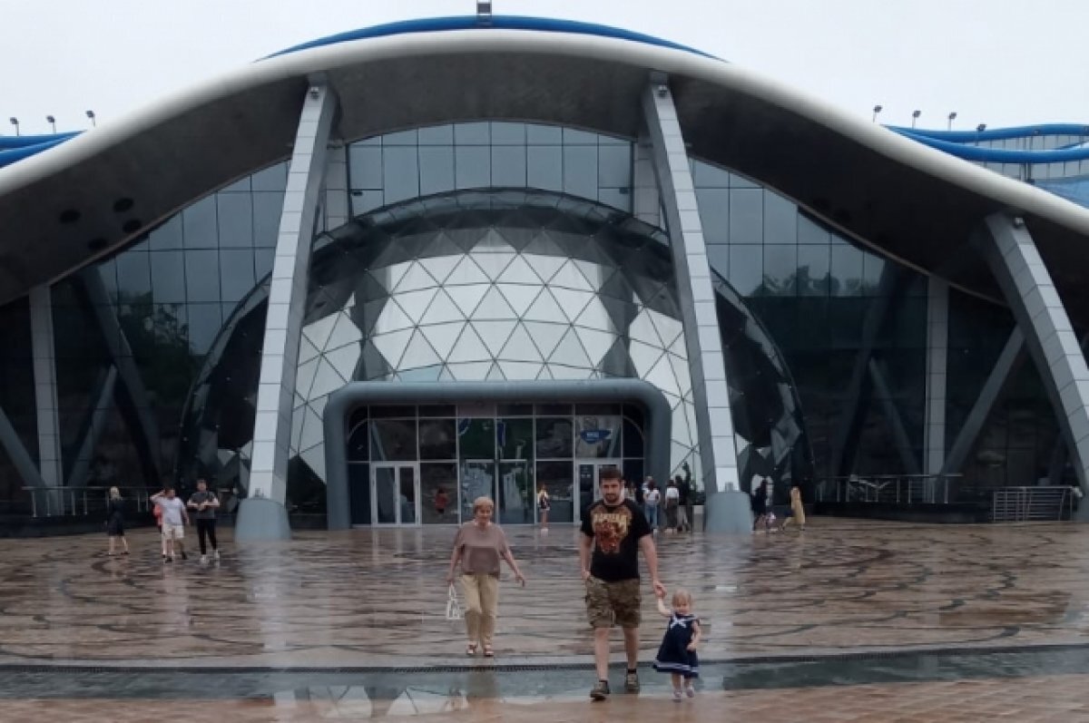    В океанариум вернулся тренер, уволенный из-за конфликтов с начальством