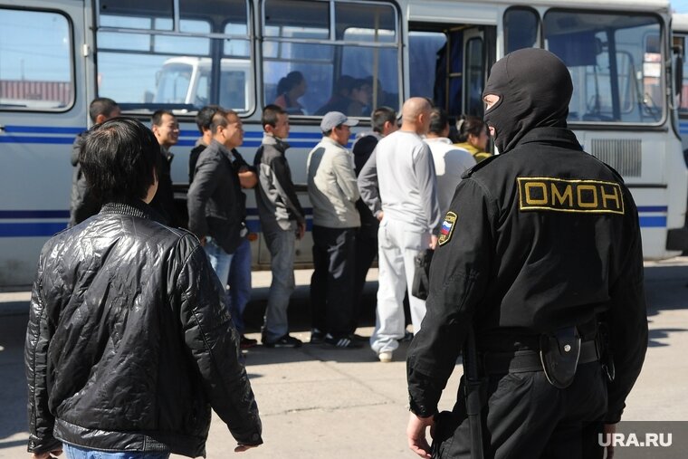    За два дня челябинские силовики выявили почти 300 нарушений миграционного законодательства