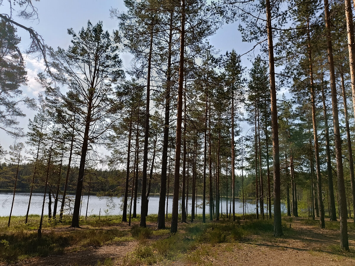 Заовражное озеро