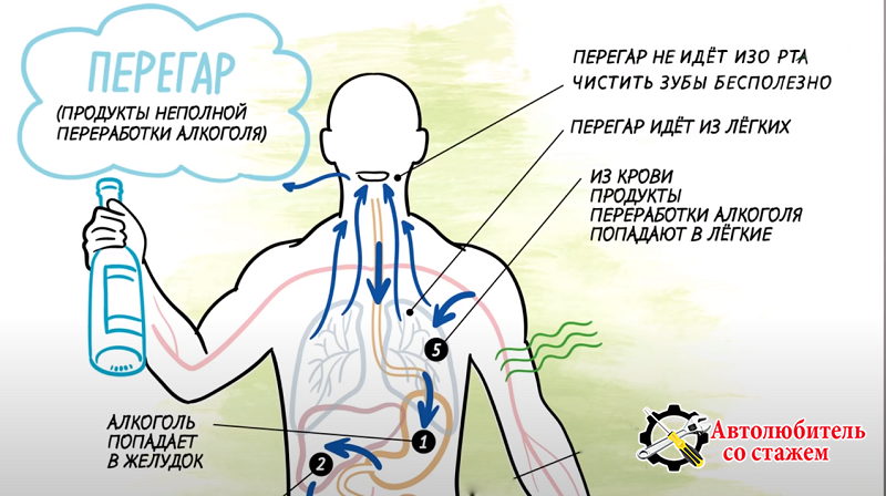 Как быстрей перегара