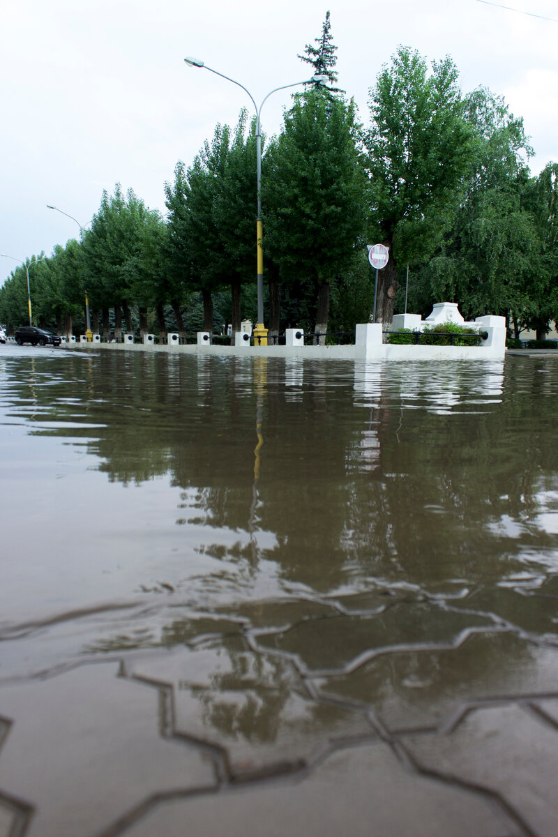 Выходили поплавать с собакой. Фото автора
