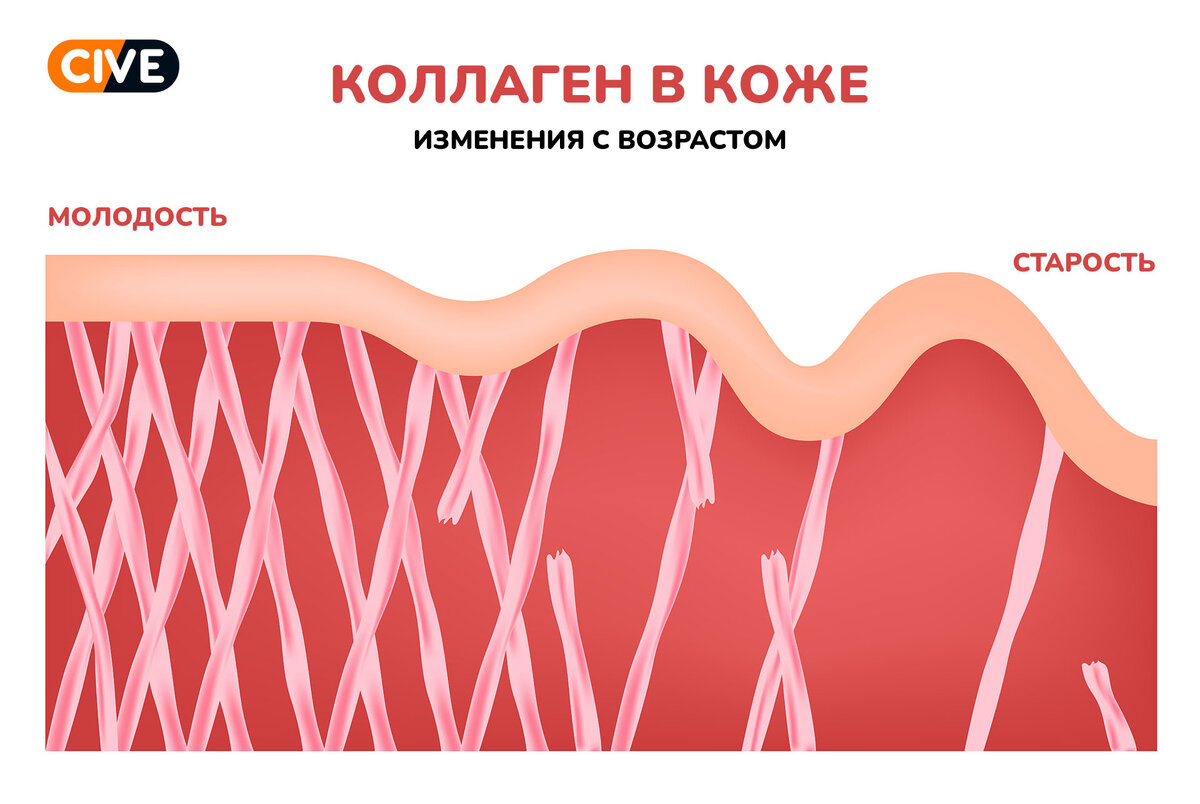 С возрастом коллаген уменьшается в организме