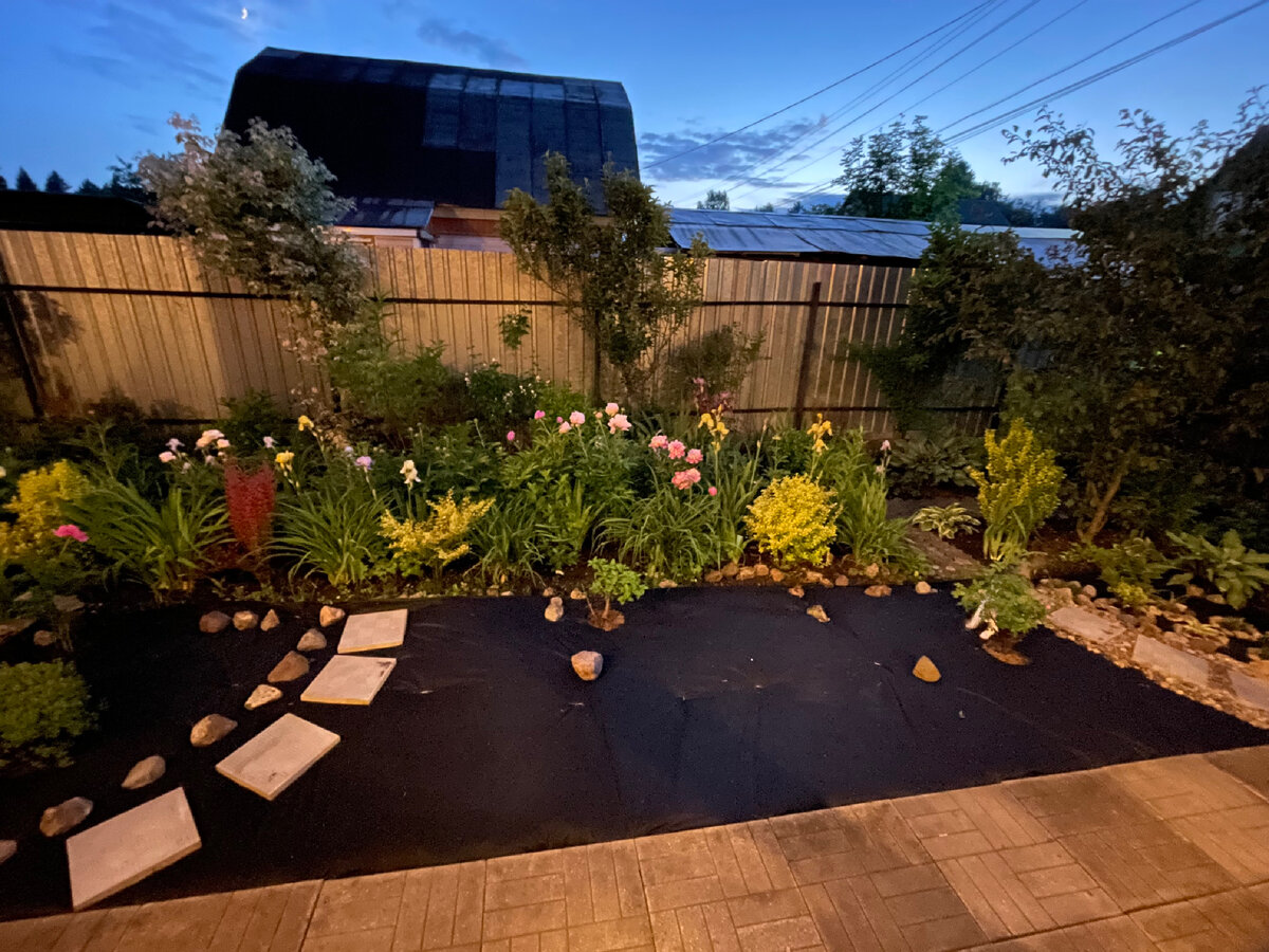 Поля справа за кустом