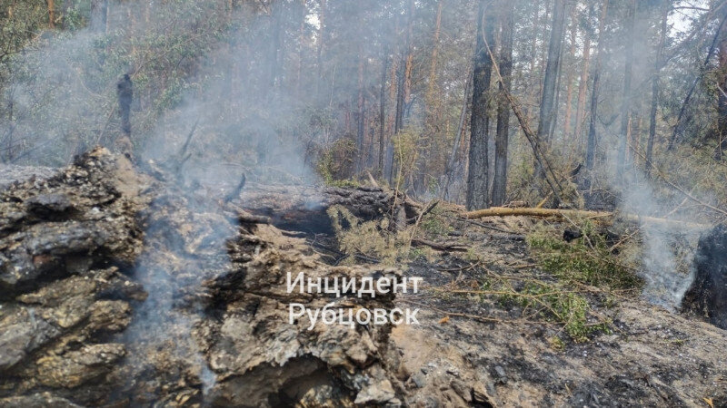     Последствия лесного пожара в Егорьевском районе. t.me/rbk_inc