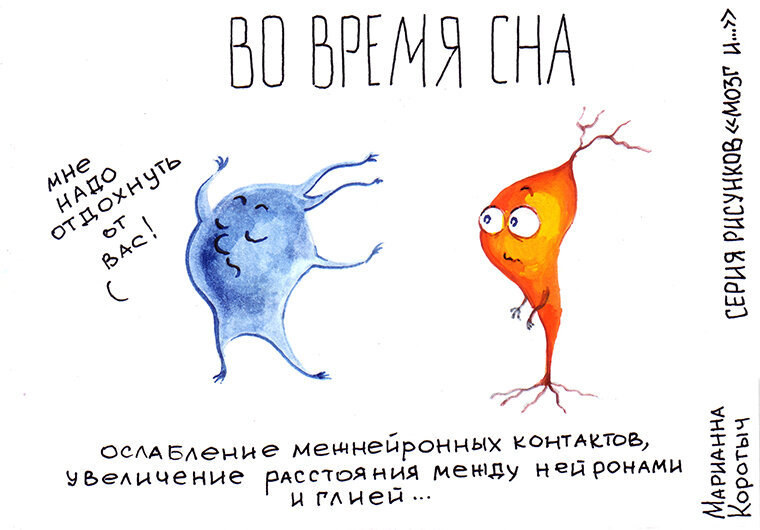 Рисунок "Во время сна"