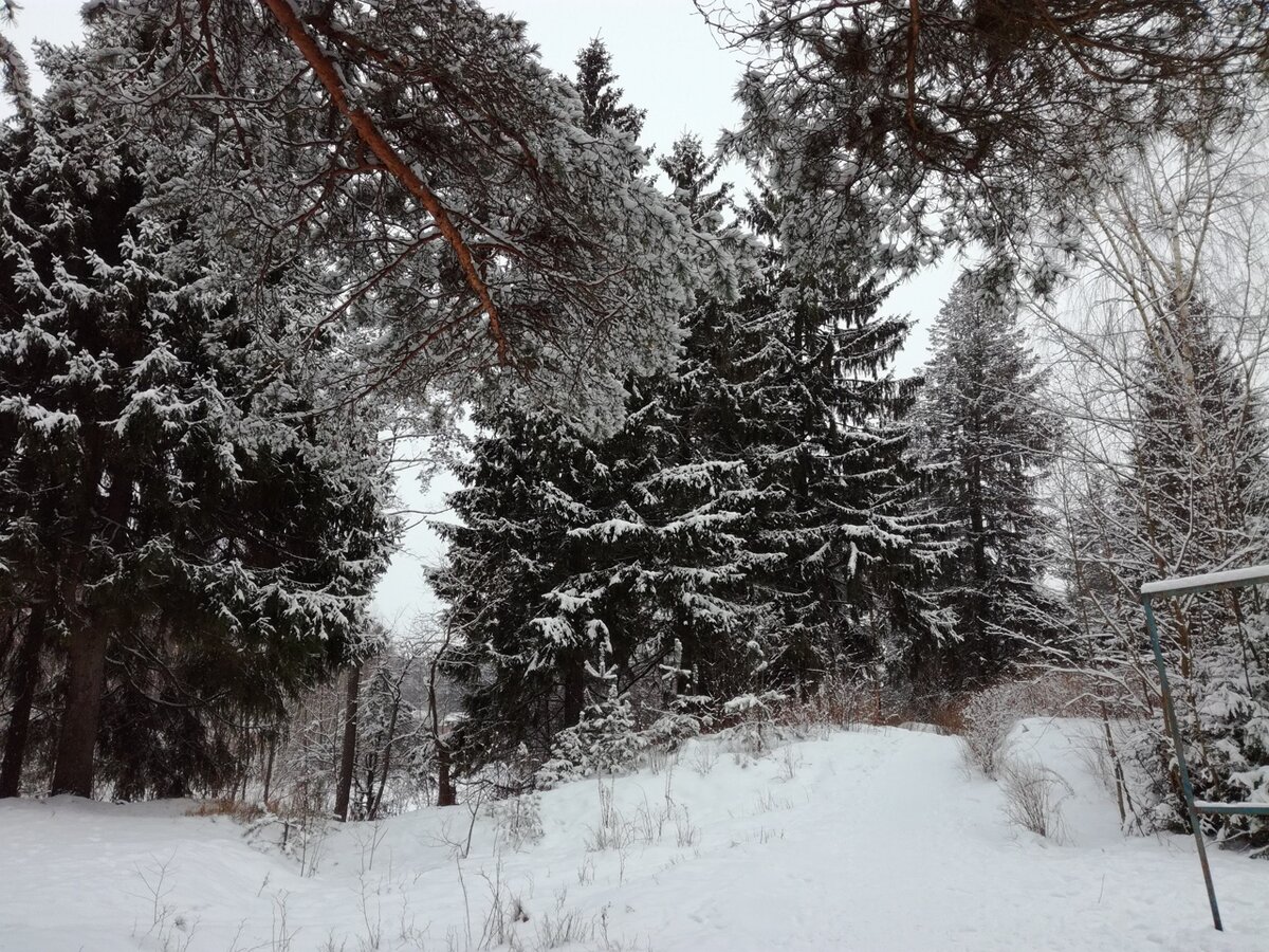 ДОРОГА ОТ ПРИГОРОДНОГО АВТОБУСА ДО НАШЕГО ДОМА. Фото А.Семёнова