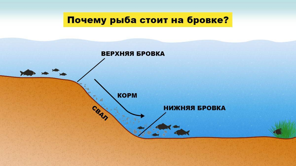 Лещ: особенности ловли "сопливого" на тычок Клевая рыбалка Дзен