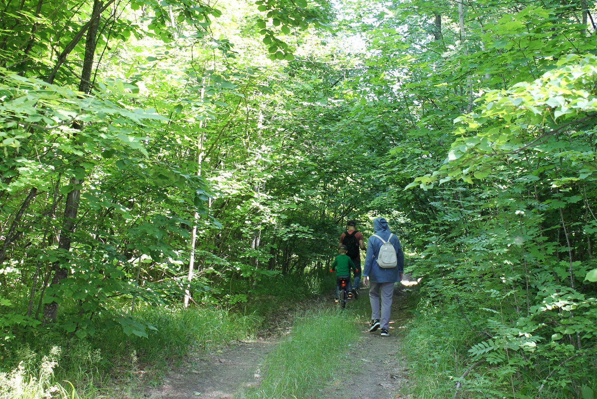 Тут пока велосипед ппроходит.