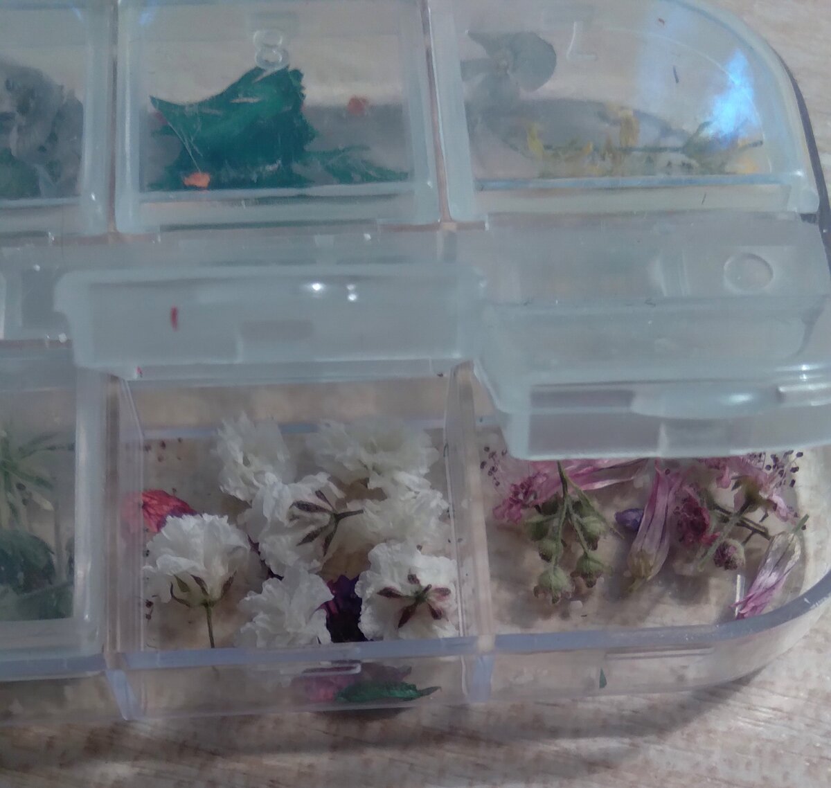 Фото автора. Уже засушенные мной цветочки ждут заливки)