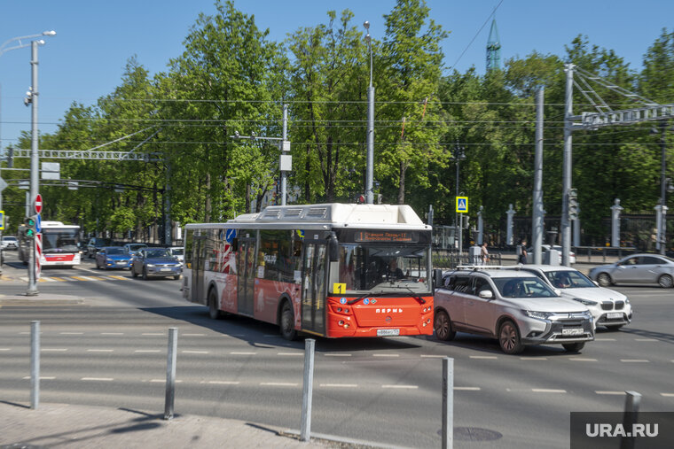    Депутаты смогут бесплатно ездить в общественном транспорте