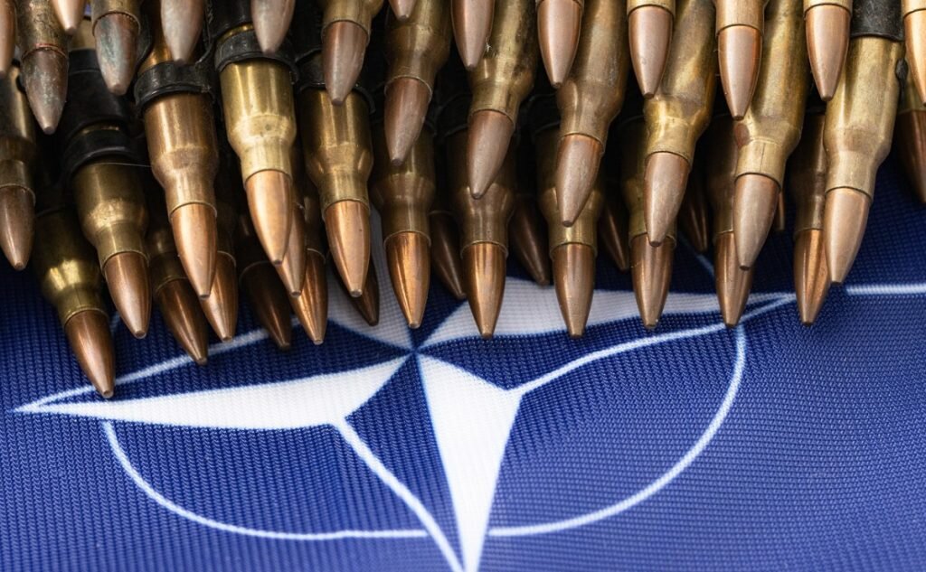    Фото: Pixabay Милана Соболевская