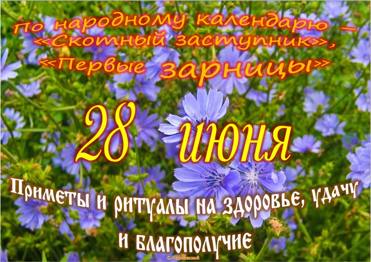 Встречаем новый день