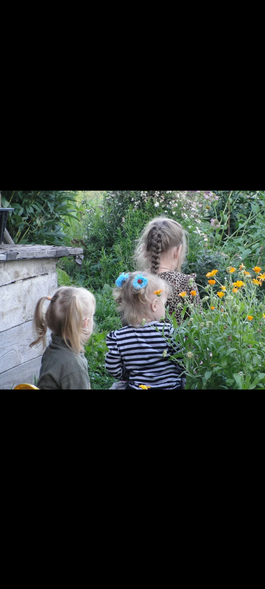 Фото автора. А это мои внучки девять лет назад. В дебрях моего огорода. 