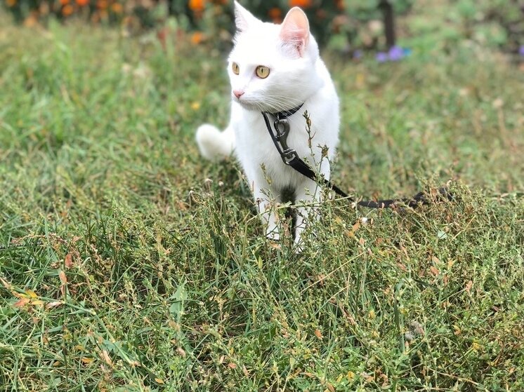   Анастасия Батищева