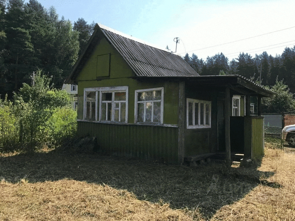 В зелено-болотном единении с природой. Фото: Мир Квартир