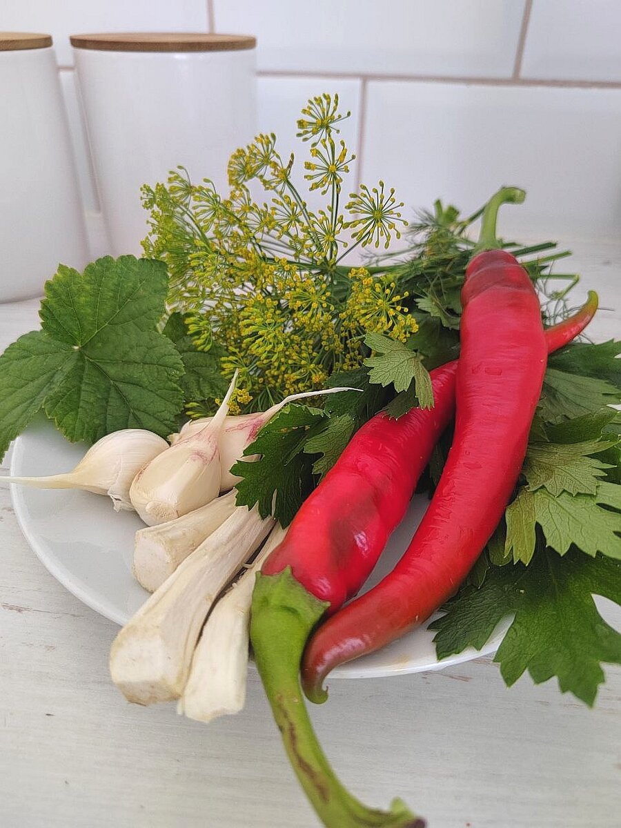 Маринованная стручковая фасоль — вкусная и пикантная закуска на зиму | Дом  на Виноградной | Дзен