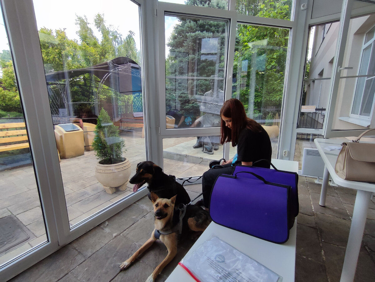 Ветеринарная, заполнение данных