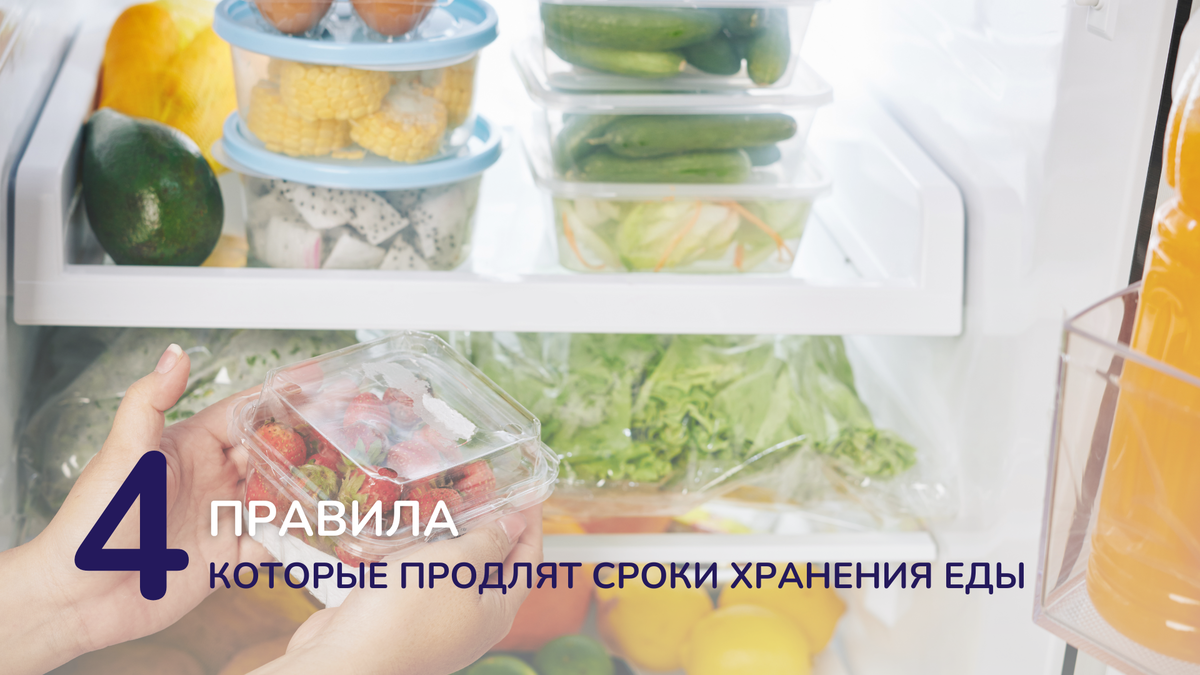 Какие продукты нельзя хранить вместе в холодильнике — 4 правила, которые  продлят сроки хранения еды | dr MAX - уборка, чистота, порядок и уют в доме  | Дзен