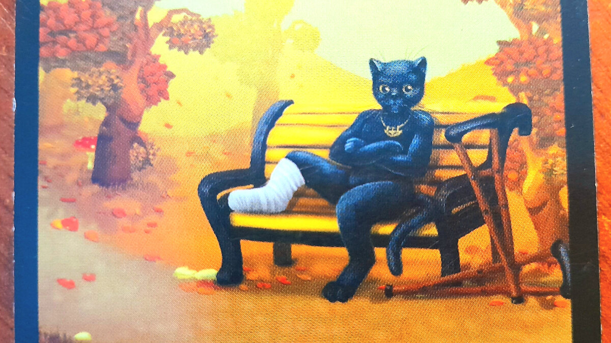 Кот пострадал, но держится