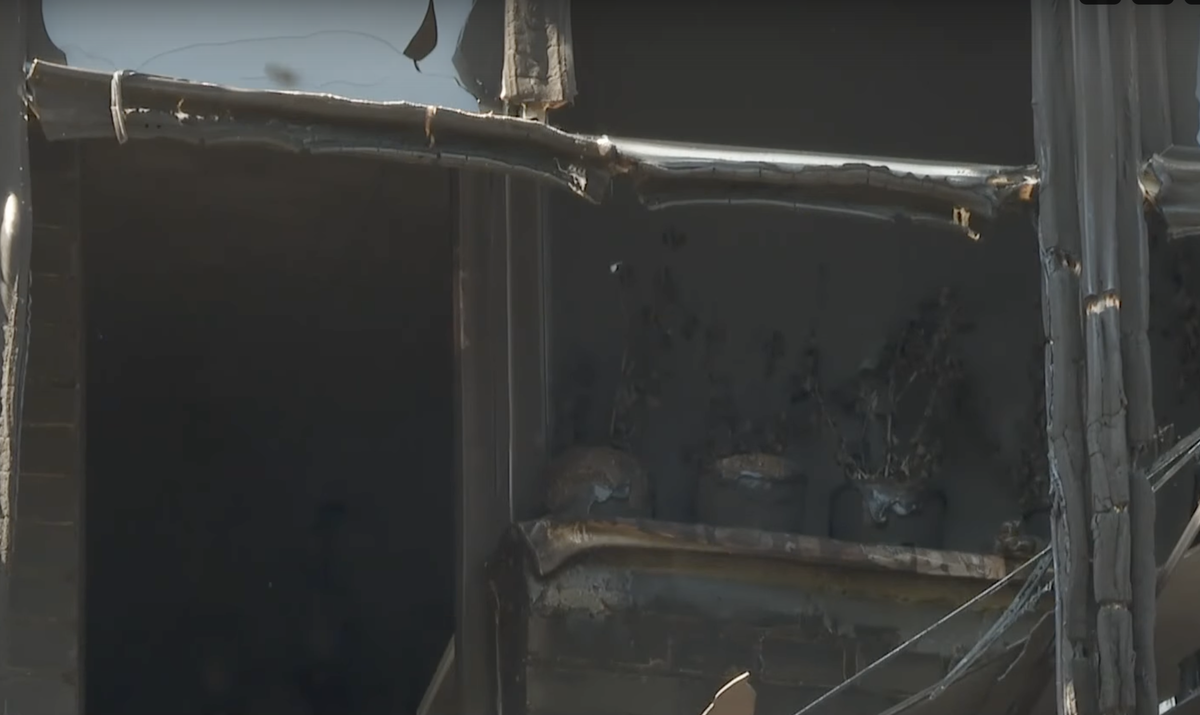 Фото: ЛенТВ24
