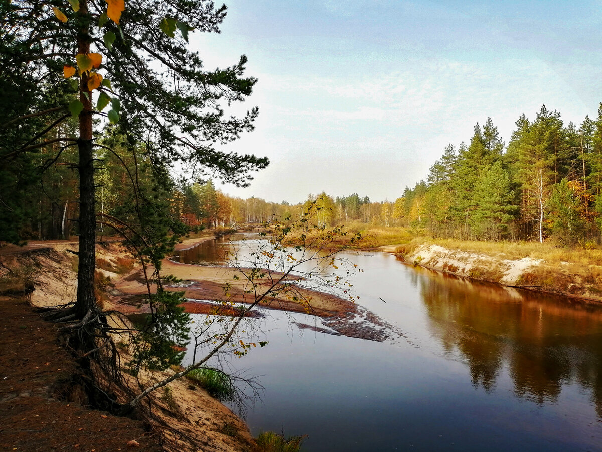 Осень 2020. Тропа Паустовского Мещера. Река пра. Река Аять осень. Лес на реке пра.