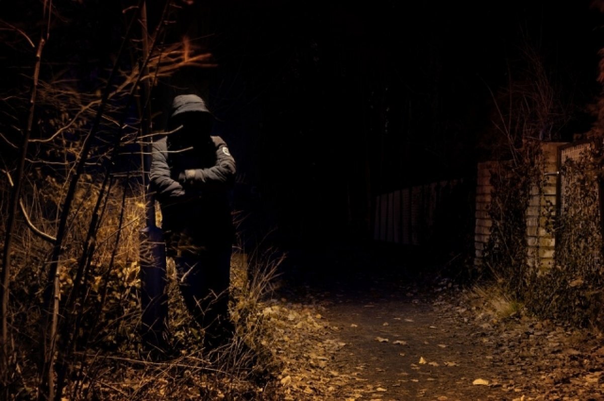    Двое мигрантов в полночь совершили разбойное нападение под Петербургом