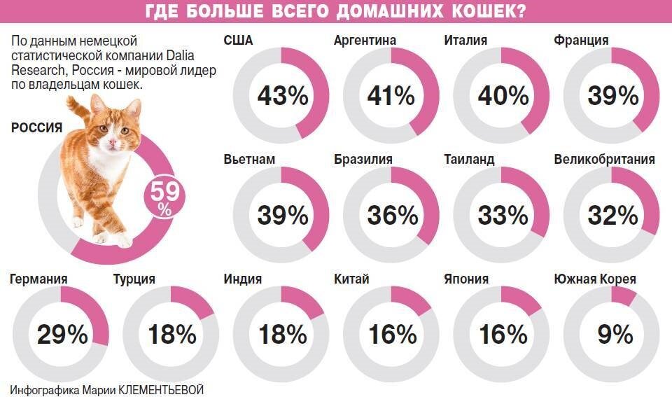 Диаграмма на тему кошки